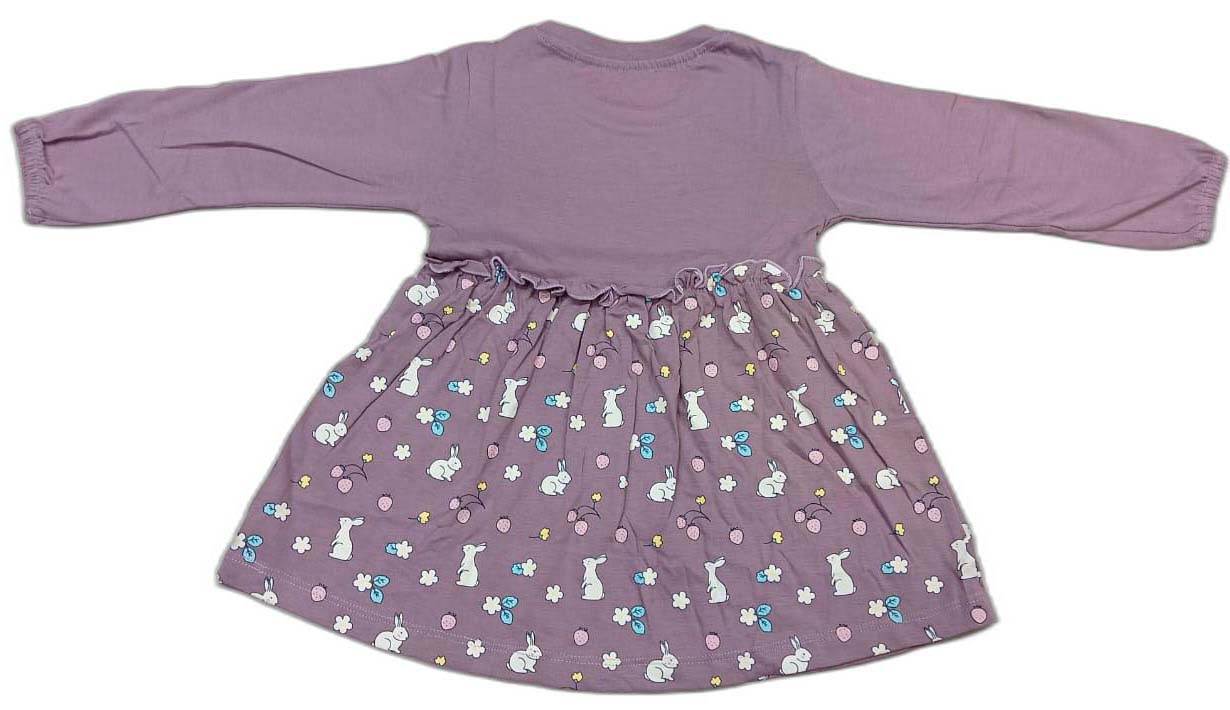 CUCUMBER Full Sleeves Frock With Bunny & Floral Print - Mauve