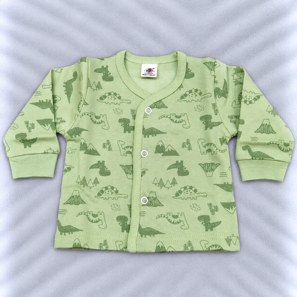 Zero Baby Boys Green Dinosaur Print Fleece Winter Top