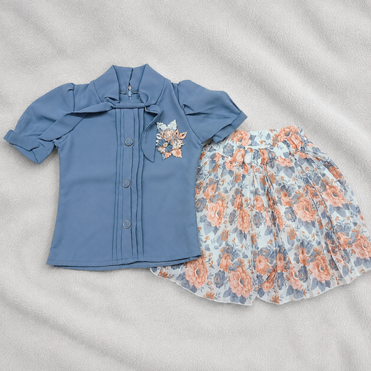 Beautiful Skirt And Top Set For Girls