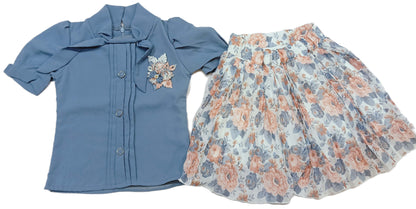 Beautiful Skirt And Top Set For Girls