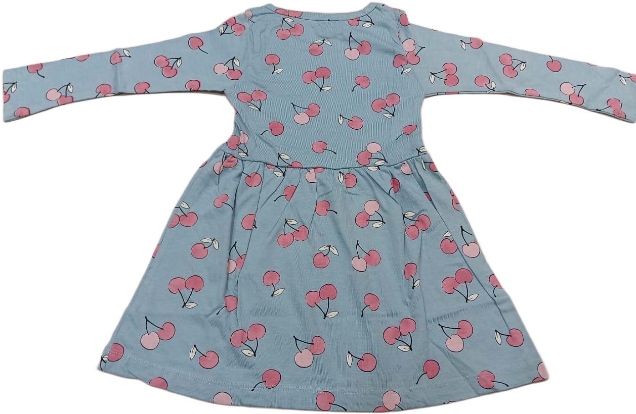 Baby Girl Full Sleeves Floral Print Frock - Sky Blue