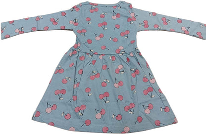 Baby Girl Full Sleeves Floral Print Frock - Sky Blue