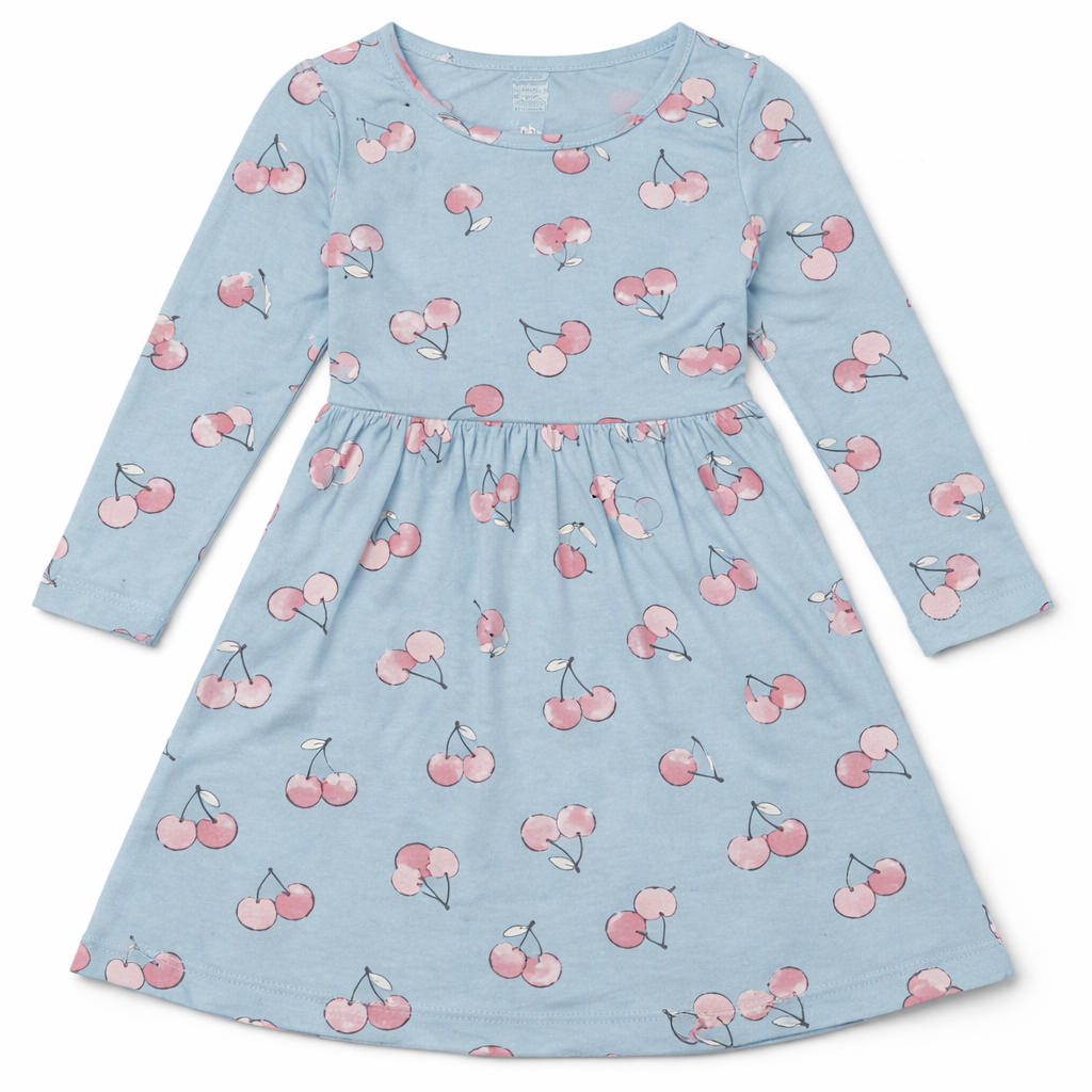 Baby Girl Full Sleeves Floral Print Frock - Sky Blue