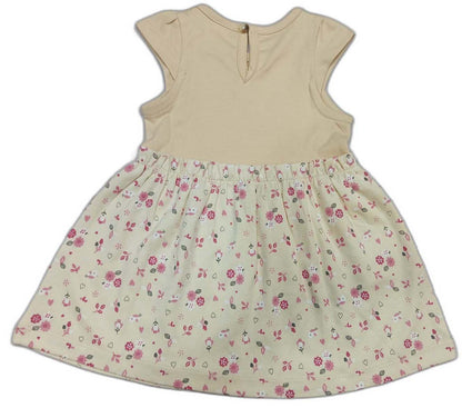 Baby Girls Floral Print A-Line Dress - Cream