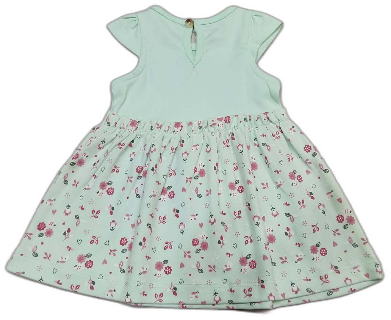 Baby Girls Floral Print A-Line Dress - Green