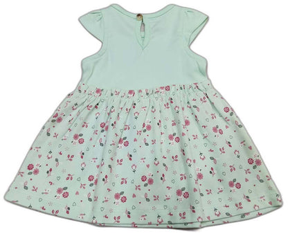 Baby Girls Floral Print A-Line Dress - Green