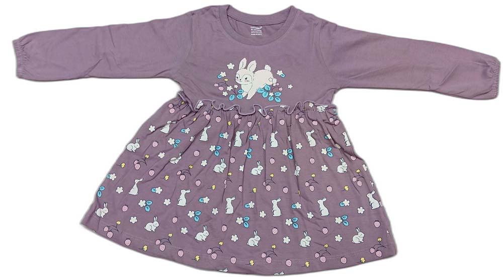 CUCUMBER Full Sleeves Frock With Bunny & Floral Print - Mauve