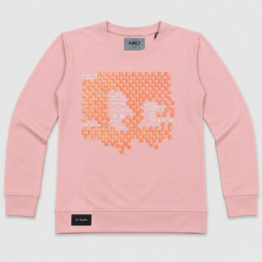 Boys Pink Printed Full Sleeve Printed T-Shirt | Casual Kids Wear