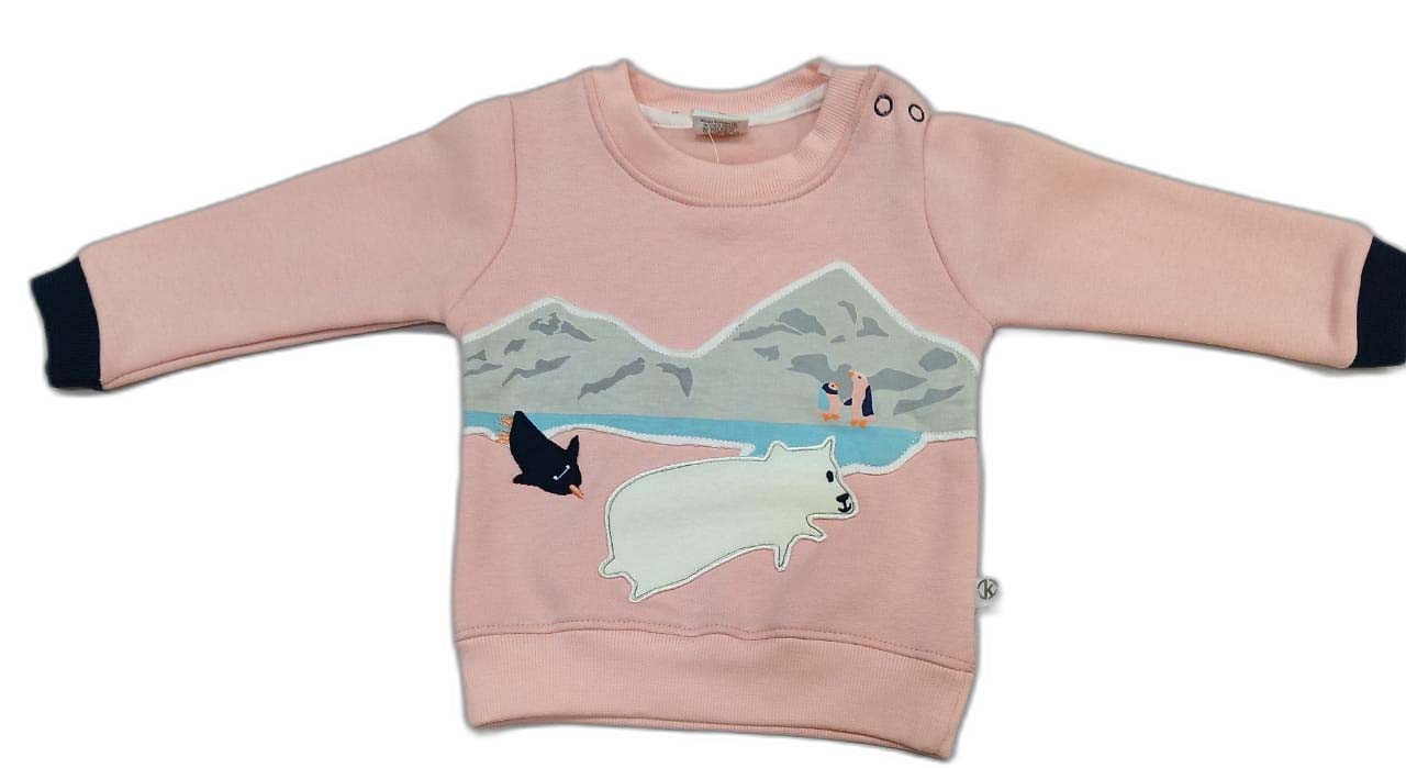 Kids Pink Colour blocked Rabbit Fleece Sweatshirt and Lounge Pant