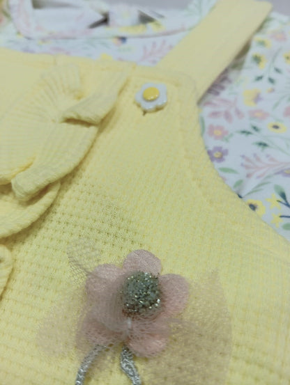 Baby Girl Printed Dungaree With T-shirt & Panty