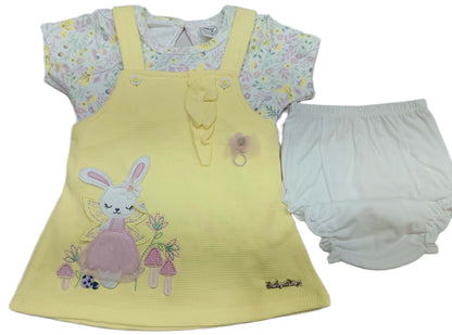 Baby Girl Printed Dungaree With T-shirt & Panty