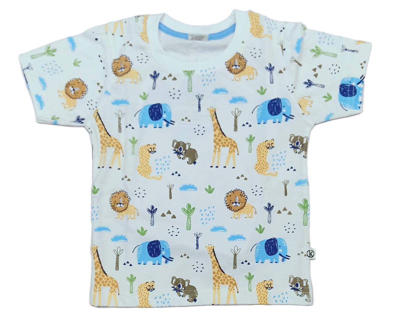Boys printed T-Shirt with Pant for Boys - Blue