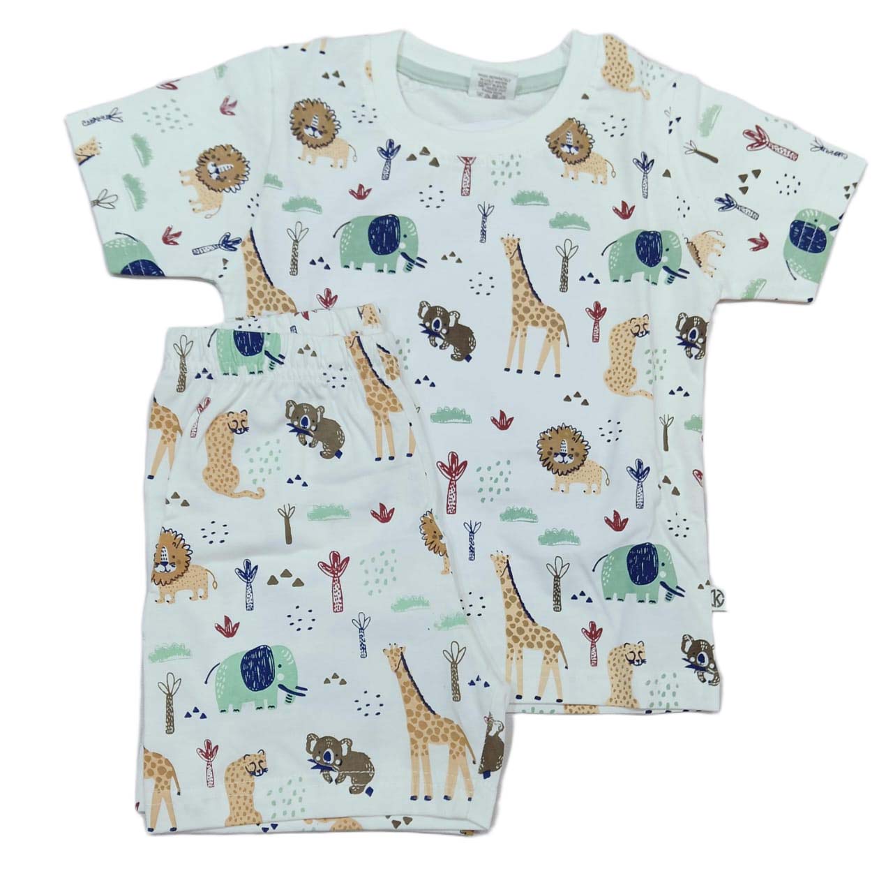Boys printed T-Shirt with Pant for Boys - Green