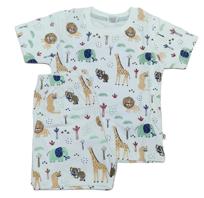 Boys printed T-Shirt with Pant for Boys - Green