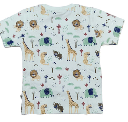 Boys printed T-Shirt with Pant for Boys - Green