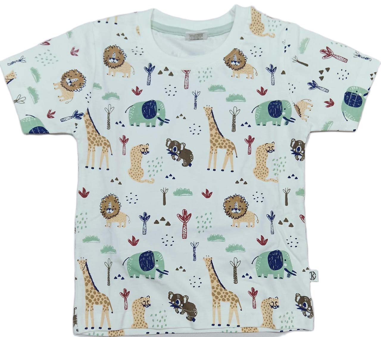 Boys printed T-Shirt with Pant for Boys - Green
