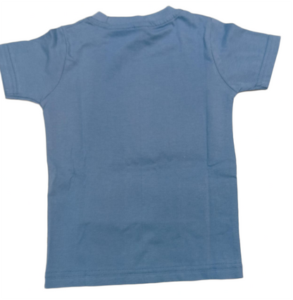T-Shirt with Pant for Boys - Blue