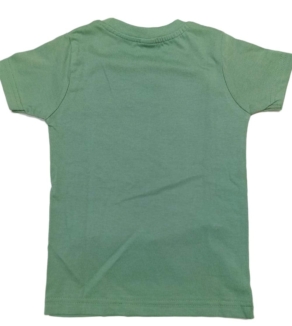 T-Shirt with Pant for Boys - Green