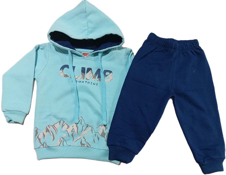 Hooded Full sleeves sweatshirt - Sky Blue