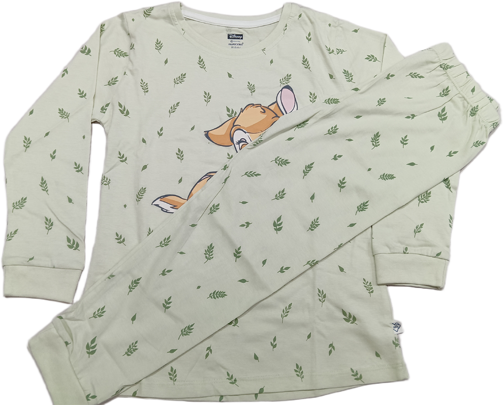 Buy Girls Disnep Printed Full Sleeves Top with Leggings - Green