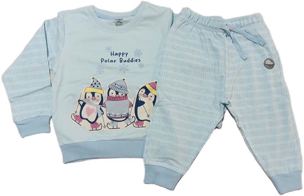 Knit Full Sleeves Winter Wear Suit with Penguin Graphic - Light Green